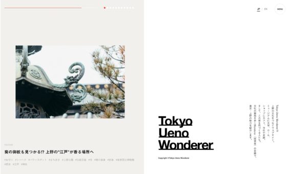 Tokyo Ueno Wonderer